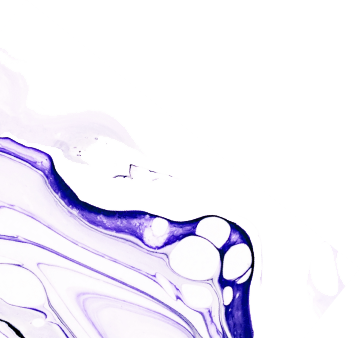 Ingredients bottom background image